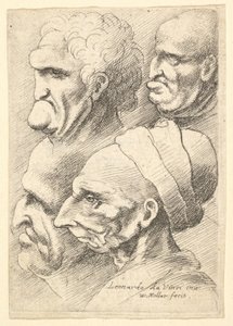 Vier groteske Köpfe im Profil nach links, 1625-77 von Wenceslaus Hollar