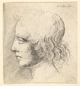 Kopf eines jungen Mannes von Wenceslaus Hollar