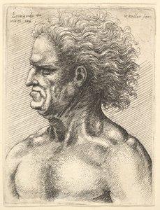 Kopf eines muskulösen alten Mannes im Profil nach links mit fließendem Haar, 1625-77 von Wenceslaus Hollar