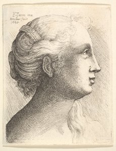 Kopf einer jungen Frau im Profil nach rechts, 1645 von Wenceslaus Hollar
