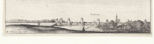 Flusslandschaft mit Blick auf Straßburg