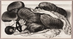 Stillleben mit einer Gruppe von Muffen, einem Paar Handschuhen und zwei Taschentüchern von Wenceslaus Hollar