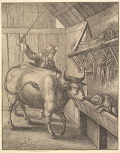 Der Hund im Trog aus der Illustration zu John Ogilbys Æsopics: Or A Second Collection von Wenceslaus Hollar