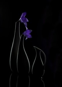 Lila Blüten Vasen von Wendy Xu
