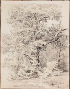 Ohne Titel von Werner Holmberg