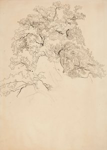  von Werner Holmberg