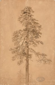 Ohne Titel von Werner Holmberg