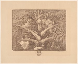 Spitze einer Kokospalme von Wijnand Otto Jan Nieuwenkamp (signed by artist)