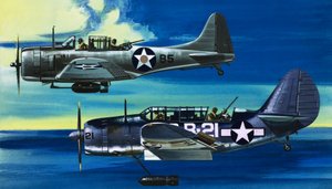 Ins Blaue: Amerikanische Kriegsflugzeuge (1941-45) von Wilf (20th century) Hardy