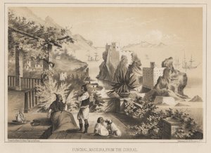 Funchal, Madeira, vom Curral, 1885