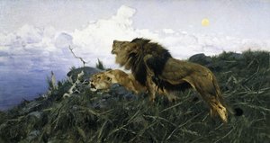 Löwen in der Dämmerung