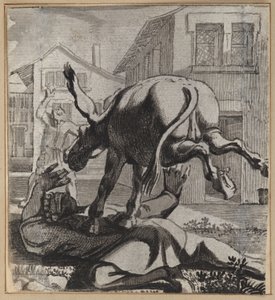 Der Narr, der mit seiner Herrschsucht prahlt von Wilhelm Stettler