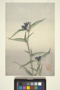 Blumenstudie, ca. 1908