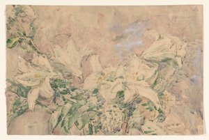 Lilien