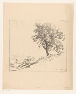 Landschaft mit Baum auf einem Deich in Dieren
