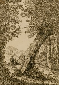 Landschaft mit Weide
