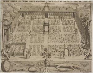 Der Botanische Garten in Leiden