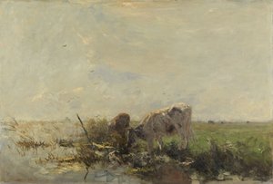 Kühe an einem Teich