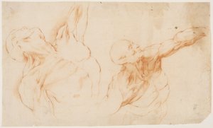 Zwei anatomische Studien (écorchés). Gehäuteter Torso eines Mannes, linker Arm erhoben