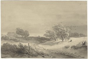 Dünenlandschaft bei trübem Wetter