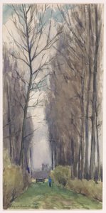 Allee mit hohen Bäumen
