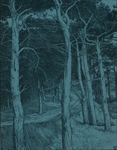 Wald, um 1912 von Willem Wenckebach