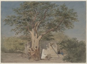 Hütte unter Baum in Kairo