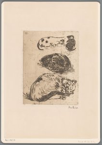 Studie von Katzen von Willem de Zwart (signed by artist)