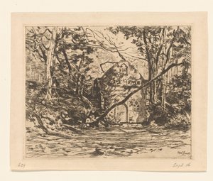 Ruine in einem Wald