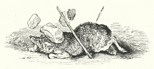 Tod des Wolfes (Stich)
