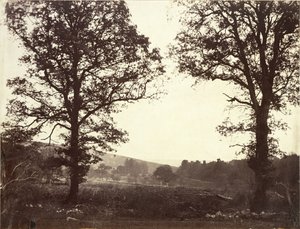 Landschaft mit Ulmen, Ashdown, Großbritannien von William 2nd Earl of Craven