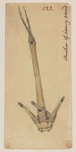 WD 959 Abschnitt 2 f.122 von William Alexander