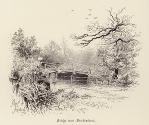 Brücke bei Brockenhurst
