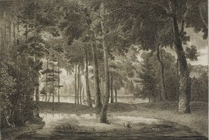 Blick vom Elysischen Laubengang
