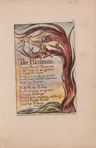 Lieder der Unschuld und der Erfahrung, Tafel 20, Die Blüte (Bentley 11) von William Blake