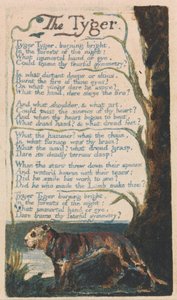 Lieder der Unschuld und der Erfahrung, Tafel 42, Der Tiger (Bentley 42)