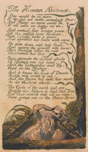 Lieder der Unschuld und Erfahrung, Platte 46, "Der menschliche Abstrakt" (Bentley 47) von William Blake