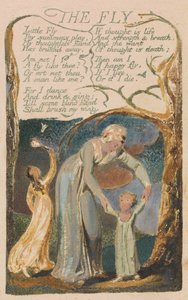 Lieder der Unschuld und der Erfahrung, Tafel 48, Die Fliege (Bentley 40) von William Blake