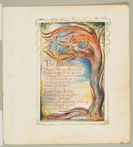 Lieder der Unschuld und der Erfahrung: Die Blüte: Fröhlicher, fröhlicher Spatz, ca. 1825 von William Blake