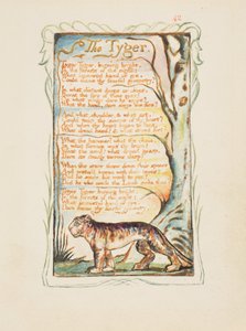 Lieder der Unschuld und der Erfahrung: Der Tiger, ca. 1825 von William Blake