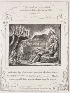 Das Buch Hiob: Pl. 7, Und als sie ihre Augen erhoben
