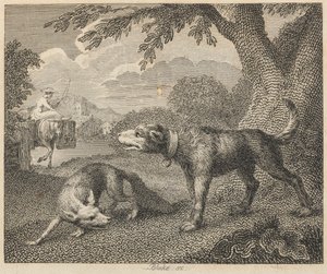 Der Hund und der Fuchs