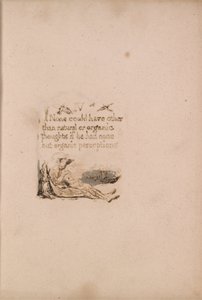 Es gibt keine natürliche Religion, Tafel 6, IV Keiner konnte . . . . (Bentley a7) von William Blake