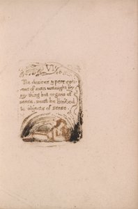 Es gibt keine natürliche Religion, Tafel 8, VI Die Wünsche und Wahrnehmungen.... (Bentley a9) von William Blake