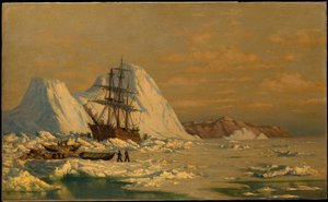 Ein Vorfall beim Walfang von William Bradford