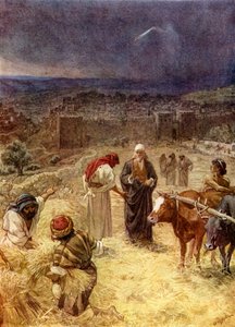 König David kauft die Tenne - Bibel