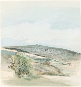 Eine Heide in Sussex