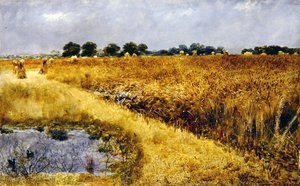 Ein Kornfeld