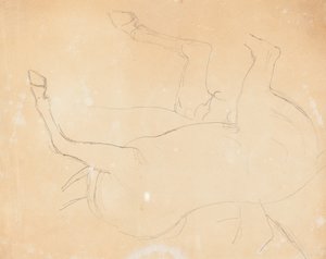 Studie eines Pferdes [verso]