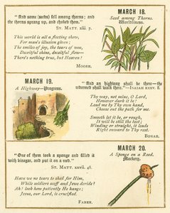 Seite aus dem Bibel-Emblem-Jubiläumsbuch von William Foster